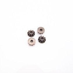 "Pignons satellites de...