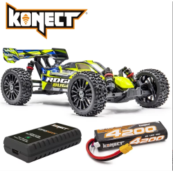 "ROGUE Buggy 1/8ème...