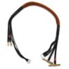 "Cable de charge 40 cm avec equilibrage pour accu 4s prise PK 4 et 5mm"