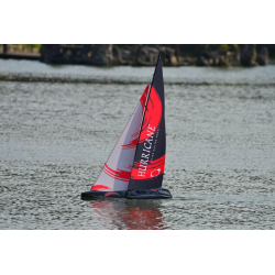Volantex RC HURRICANE 1000mm speed rc boat rc sailboat 791-2 ARTR